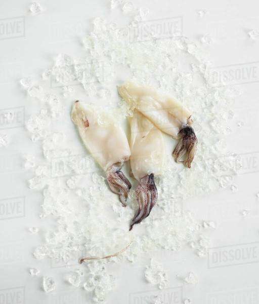 Three squid on crushed ice Stock Photo Dissolve