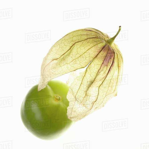 Tomatillo with husk Stock Photo Dissolve