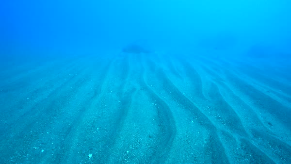 Waved Sea Floor Underwater Seabed Formation Stock Video Footage