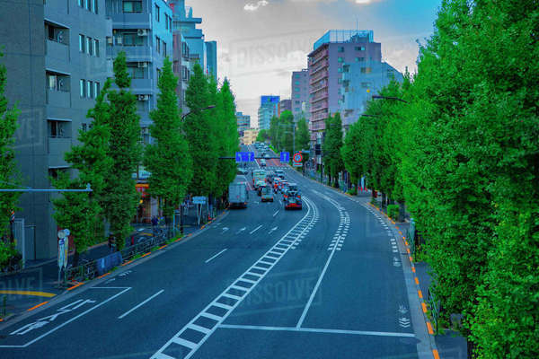 A City Street At The Avenue Daytime Wide Shot Suginami District Tokyo a-city-street-at-the-avenue-daytime-wide-shot-suginami-district-tokyo