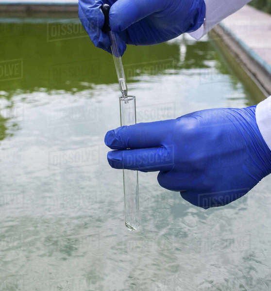 Water sample. Treatment facilities. Quality control of water that has