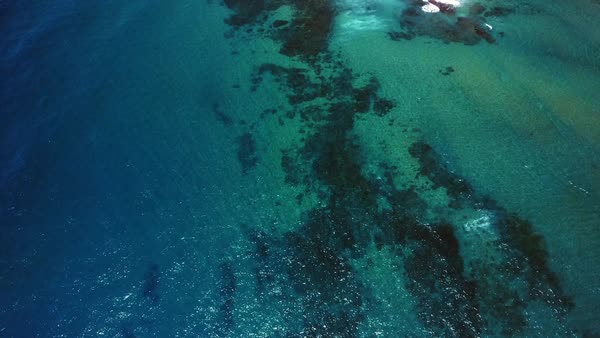 aerial drone shot of calm blue ocean sea water with live healthy