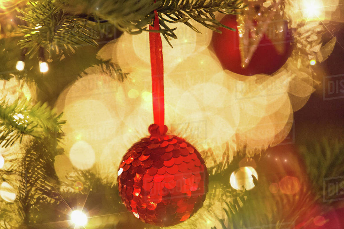 Close Up Red Sequin Ornament Hanging From Branch Of Christmas Tree With String Lights Close Up Red Sequin Ornament Hanging From Branch Of Christmas Tree With String Lights