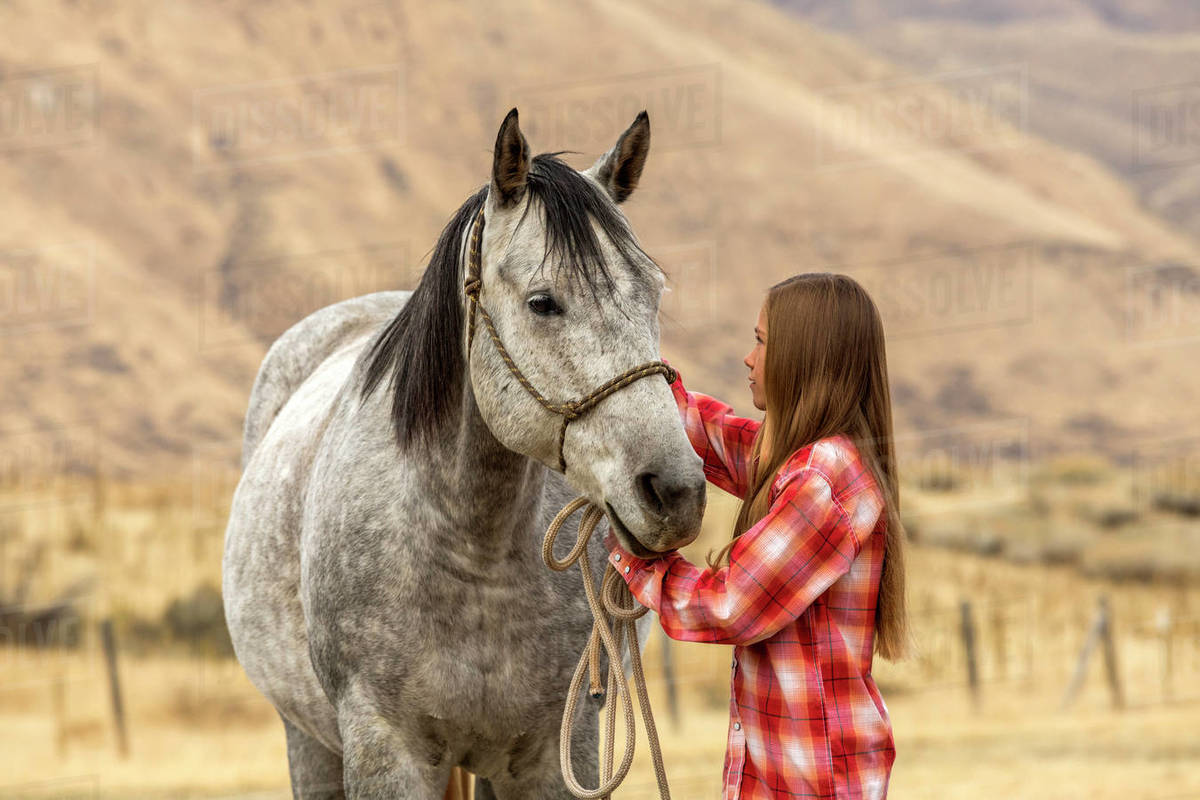 Girl petting horse Stock Photo Dissolve