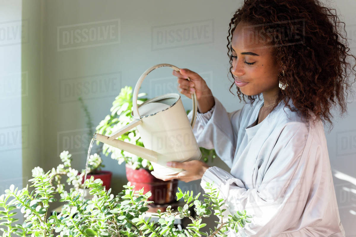 Woman watering plants Stock Photo Dissolve
