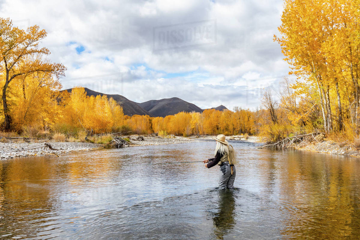 USA, Idaho, Bellevue, Senior woman flyfishing in Big Wood River in