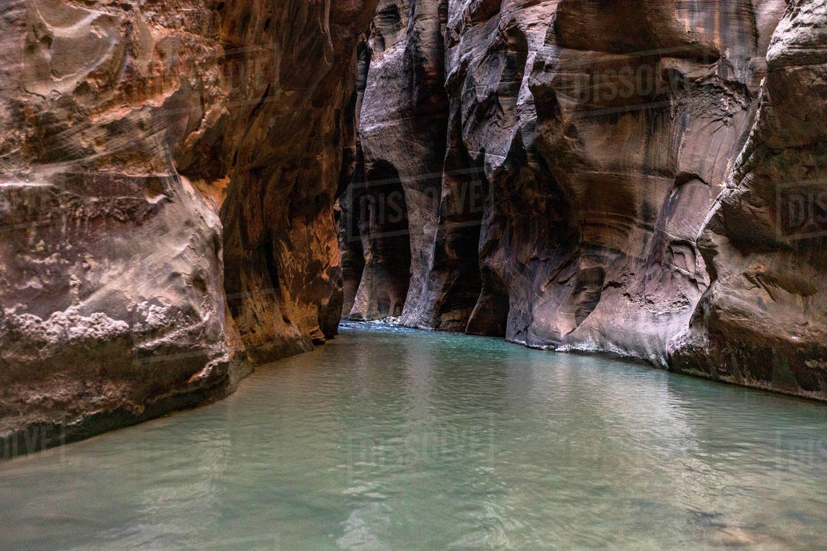 United States, Utah, Zion National Park, Virgin River flows through The
