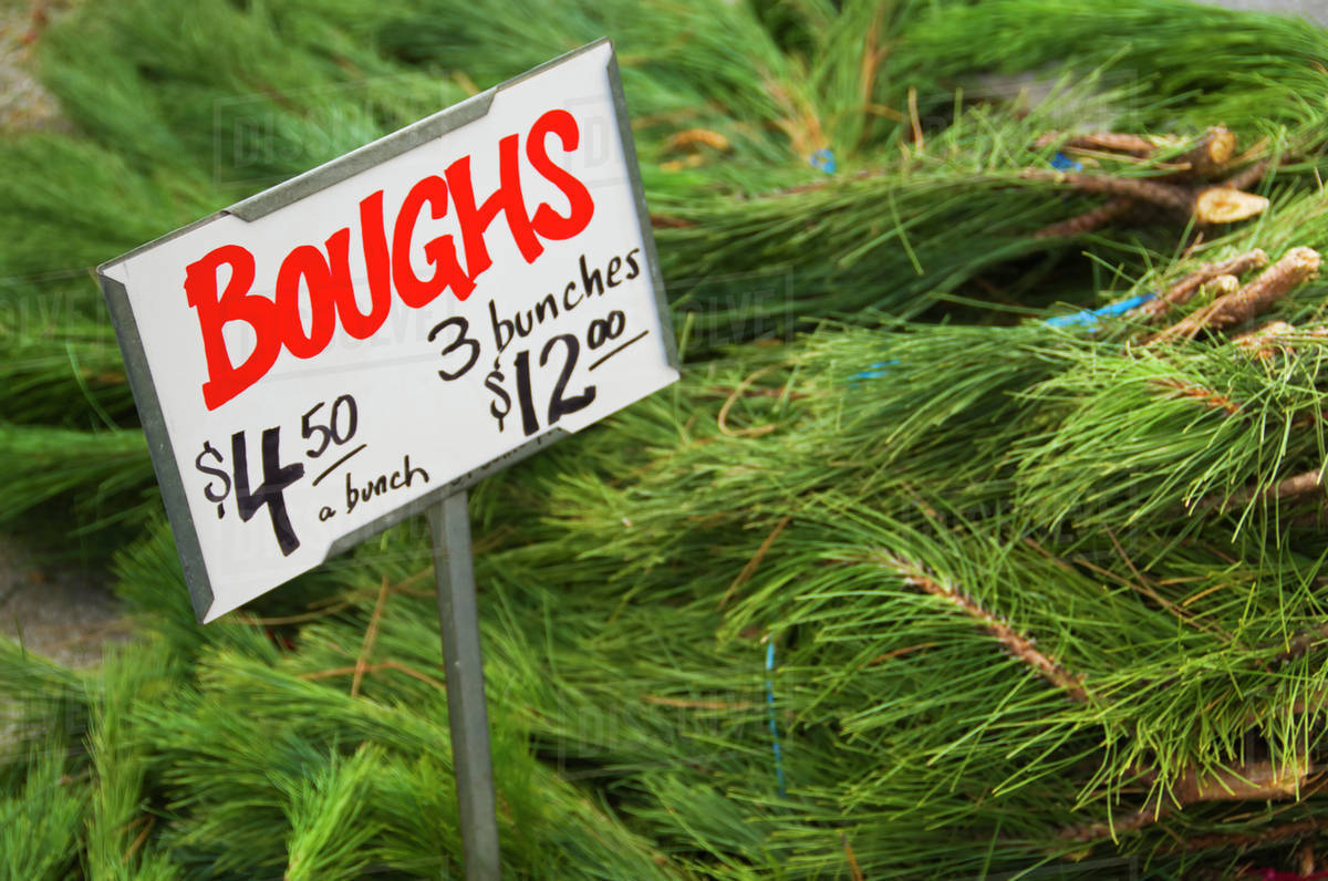 Christmas Tree Branches For Sale Christmas Tree Branches For Sale