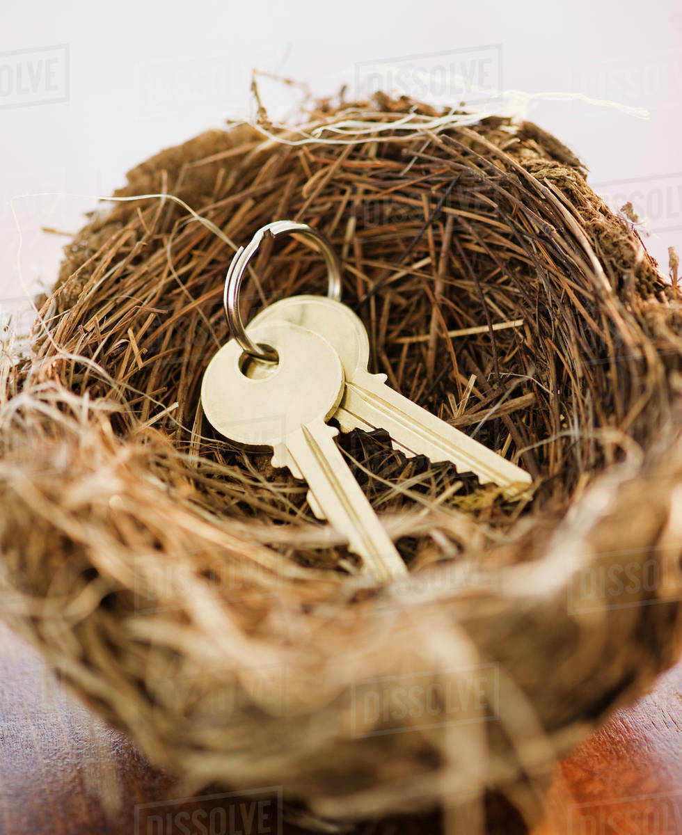 Keys in a bird nest Stock Photo Dissolve