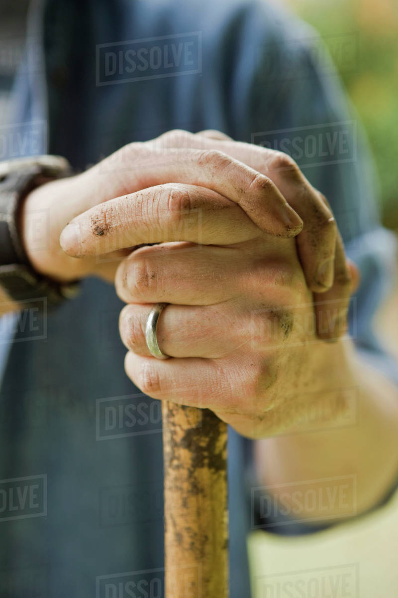 Hands holding shovel Stock Photo Dissolve