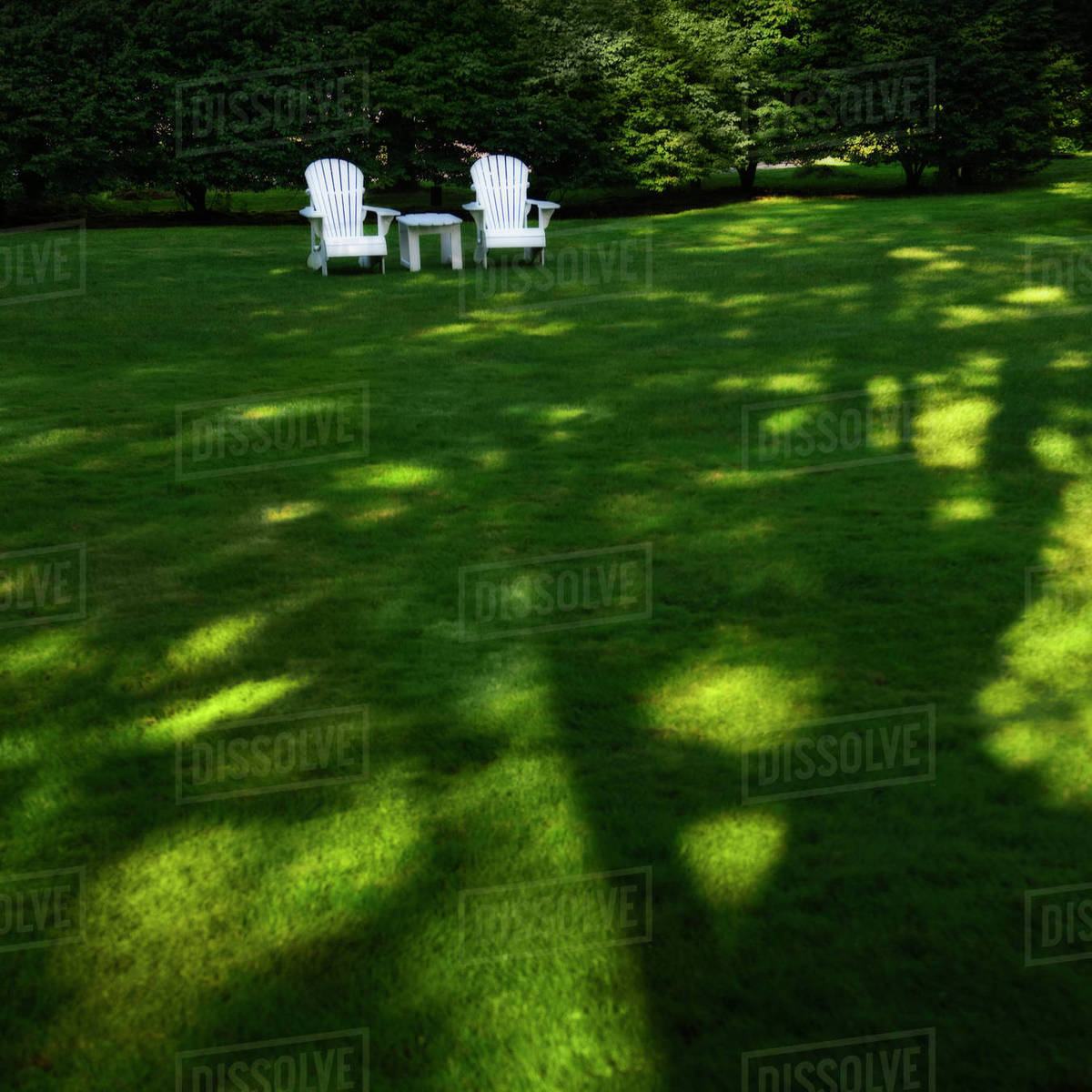 Adirondack chairs on lawn Stock Photo Dissolve