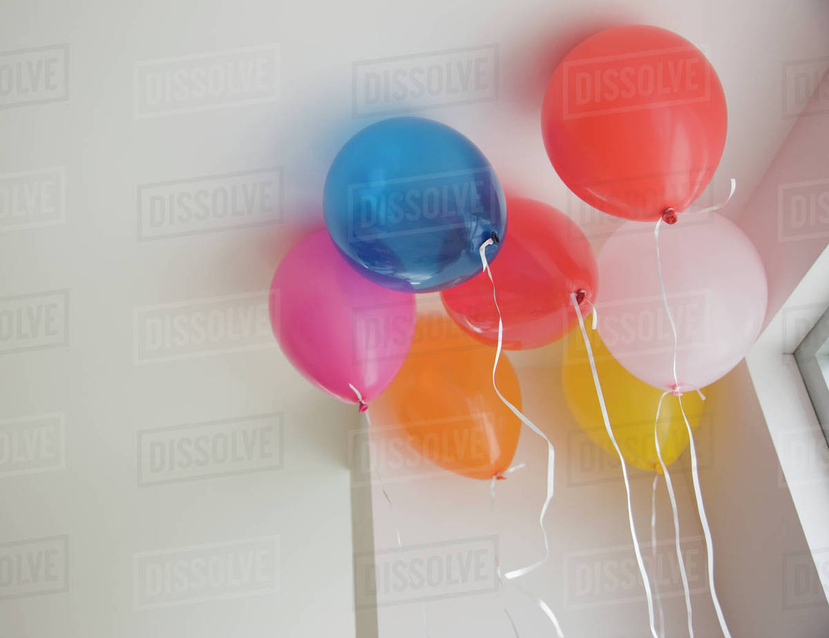 Balloons on ceiling Stock Photo Dissolve