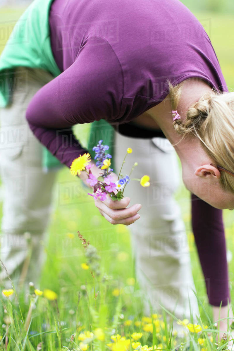 Woman picking wild flowers in meadow Stock Photo Dissolve