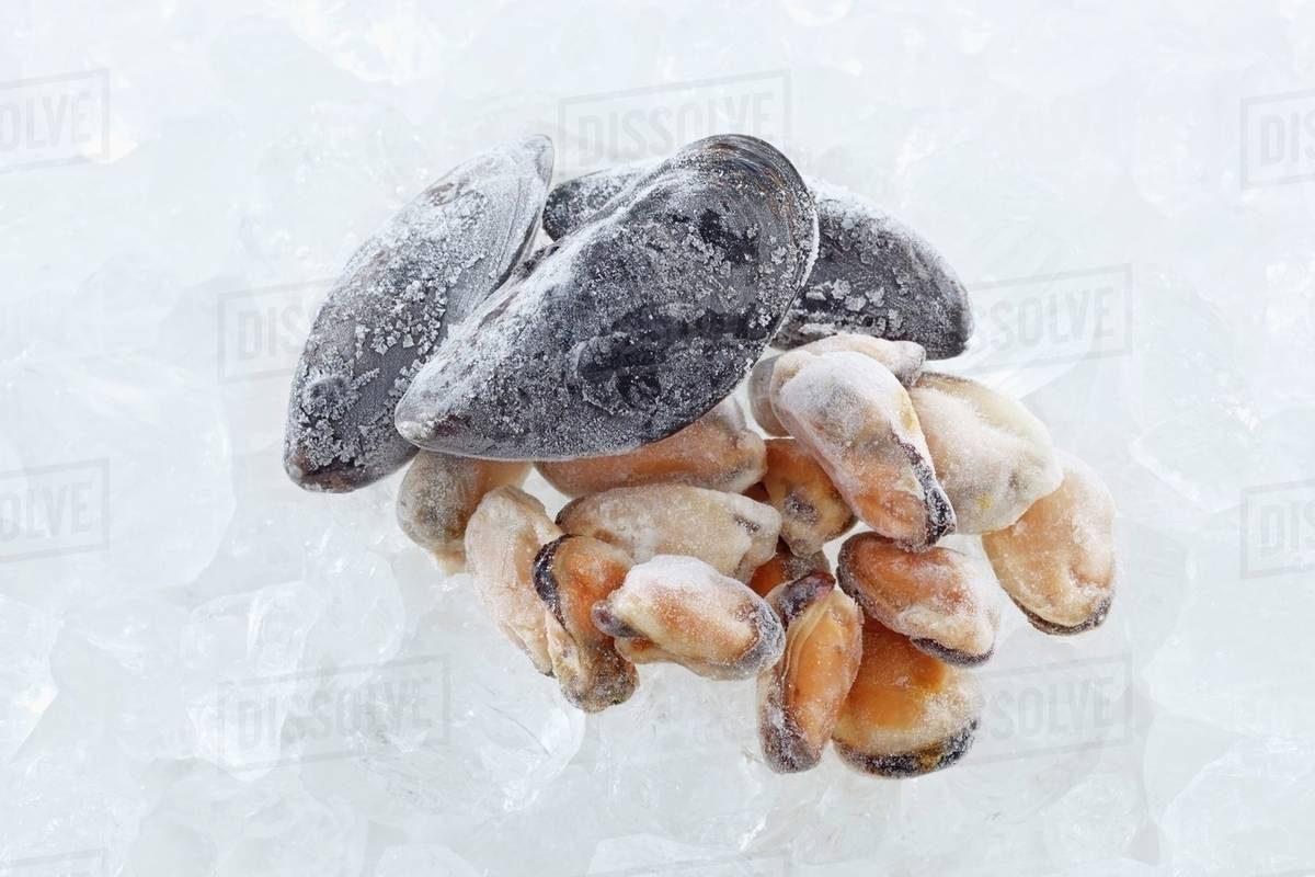 Frozen mussels Stock Photo Dissolve