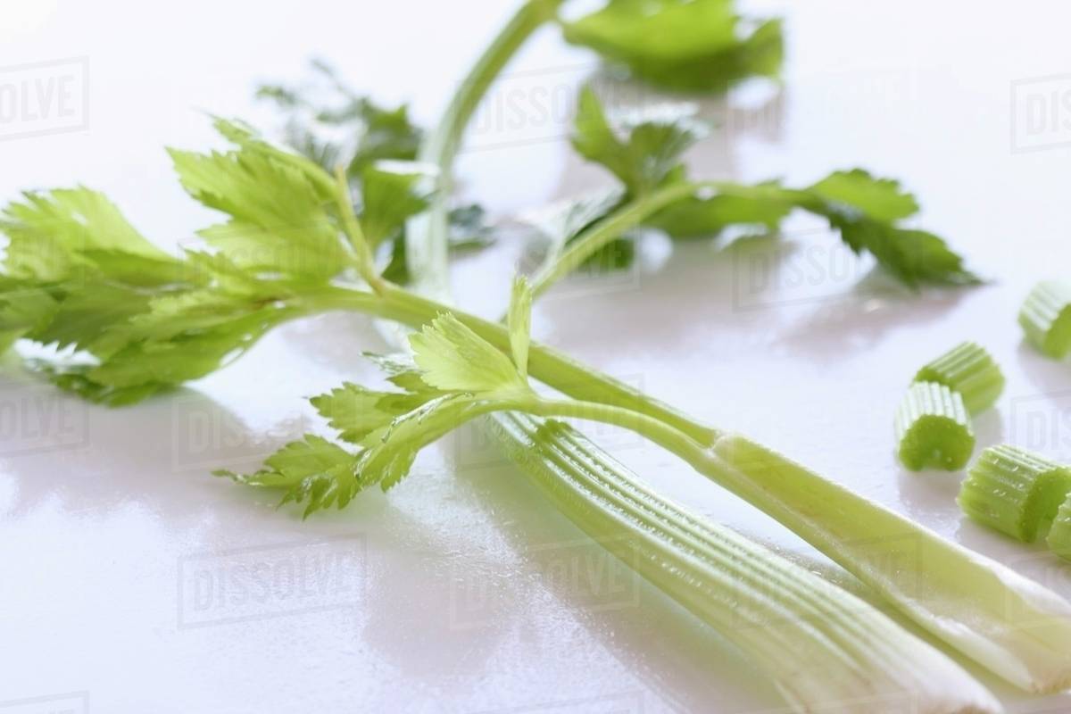Fresh celery Stock Photo Dissolve