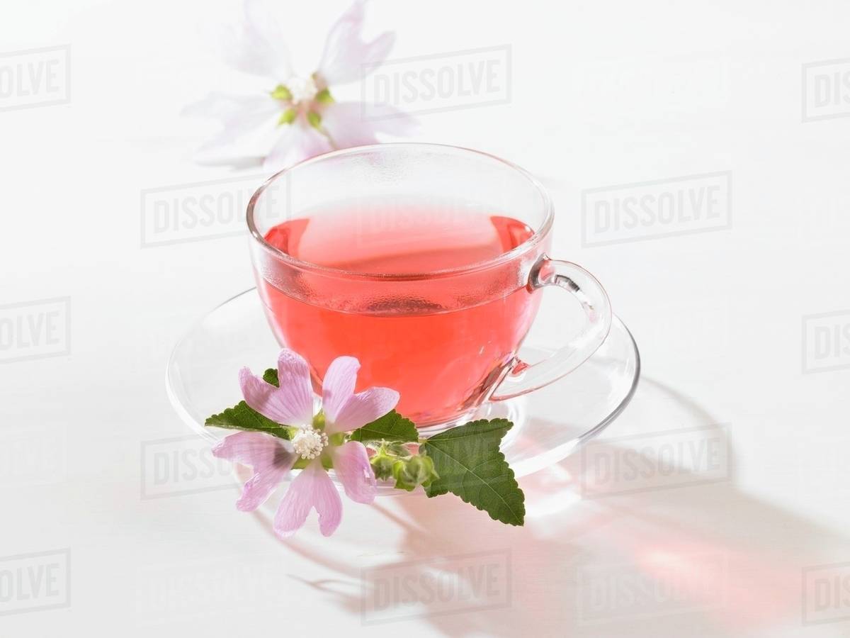 Hollyhock tea in cup, closeup Stock Photo Dissolve