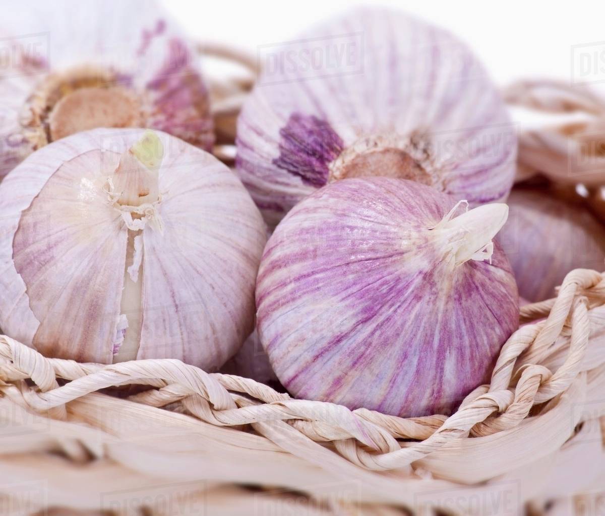Sprouting garlic bulbs in a basket Stock Photo Dissolve
