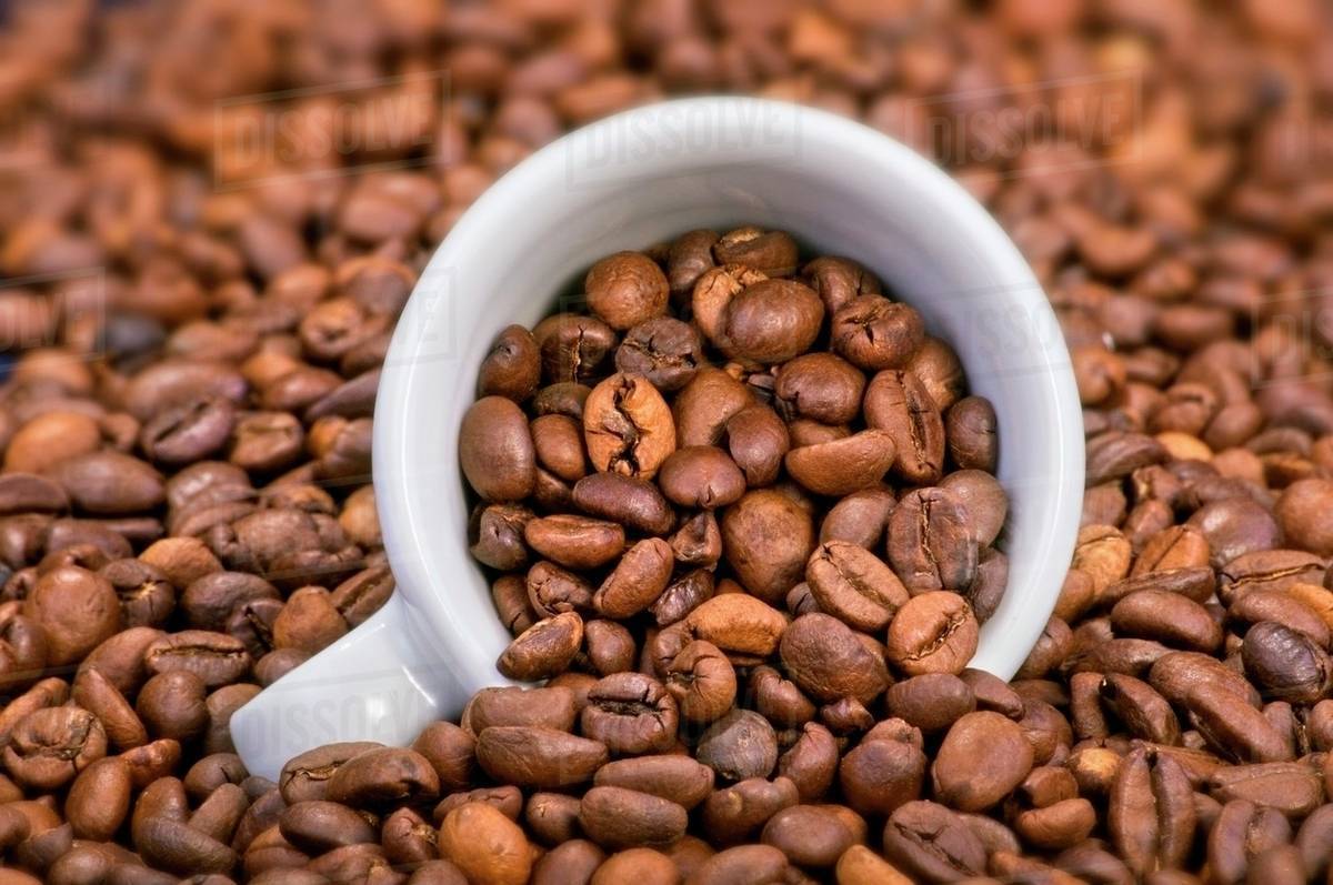Coffee beans with espresso cup lying on its side Stock Photo Dissolve