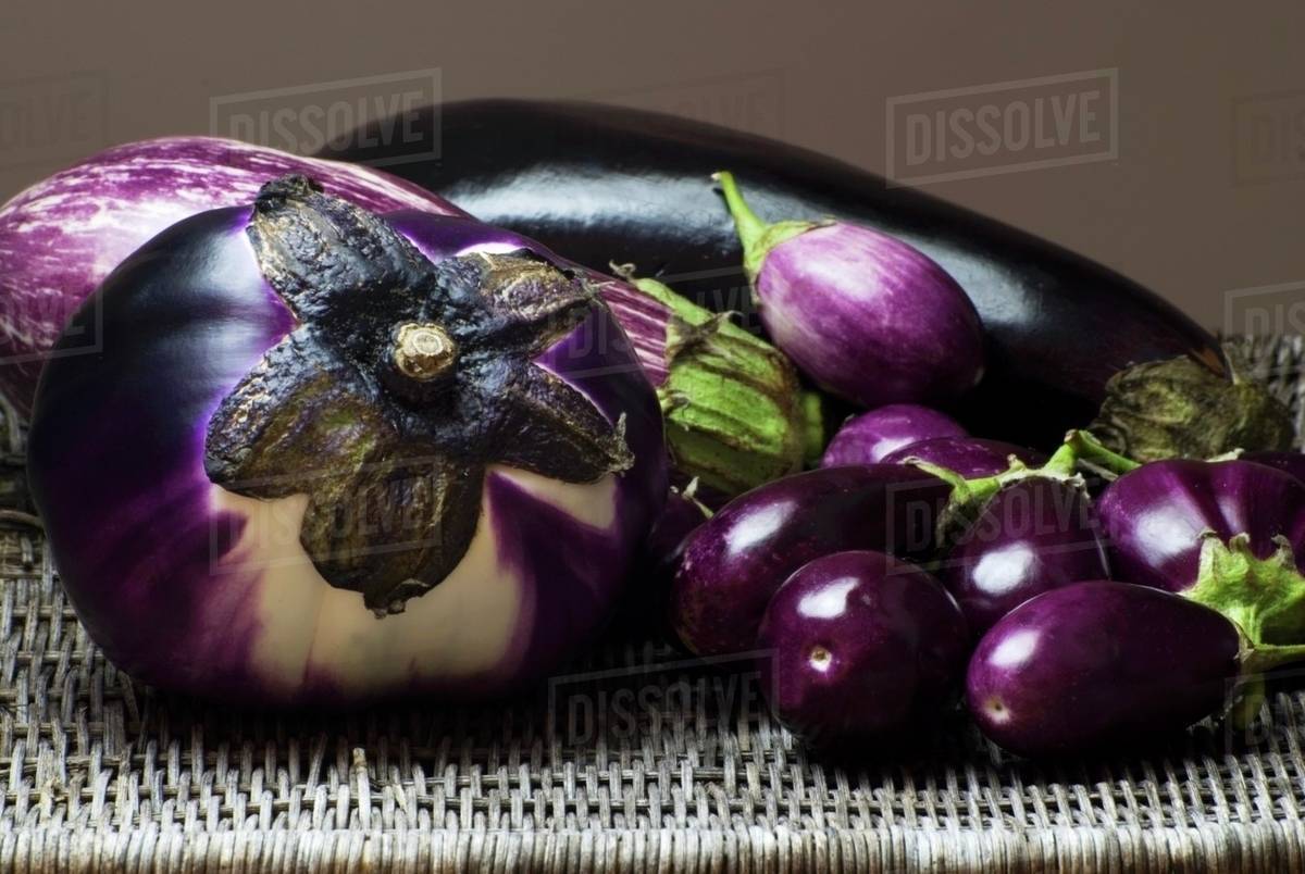 Variety of Types of Eggplants Stock Photo Dissolve