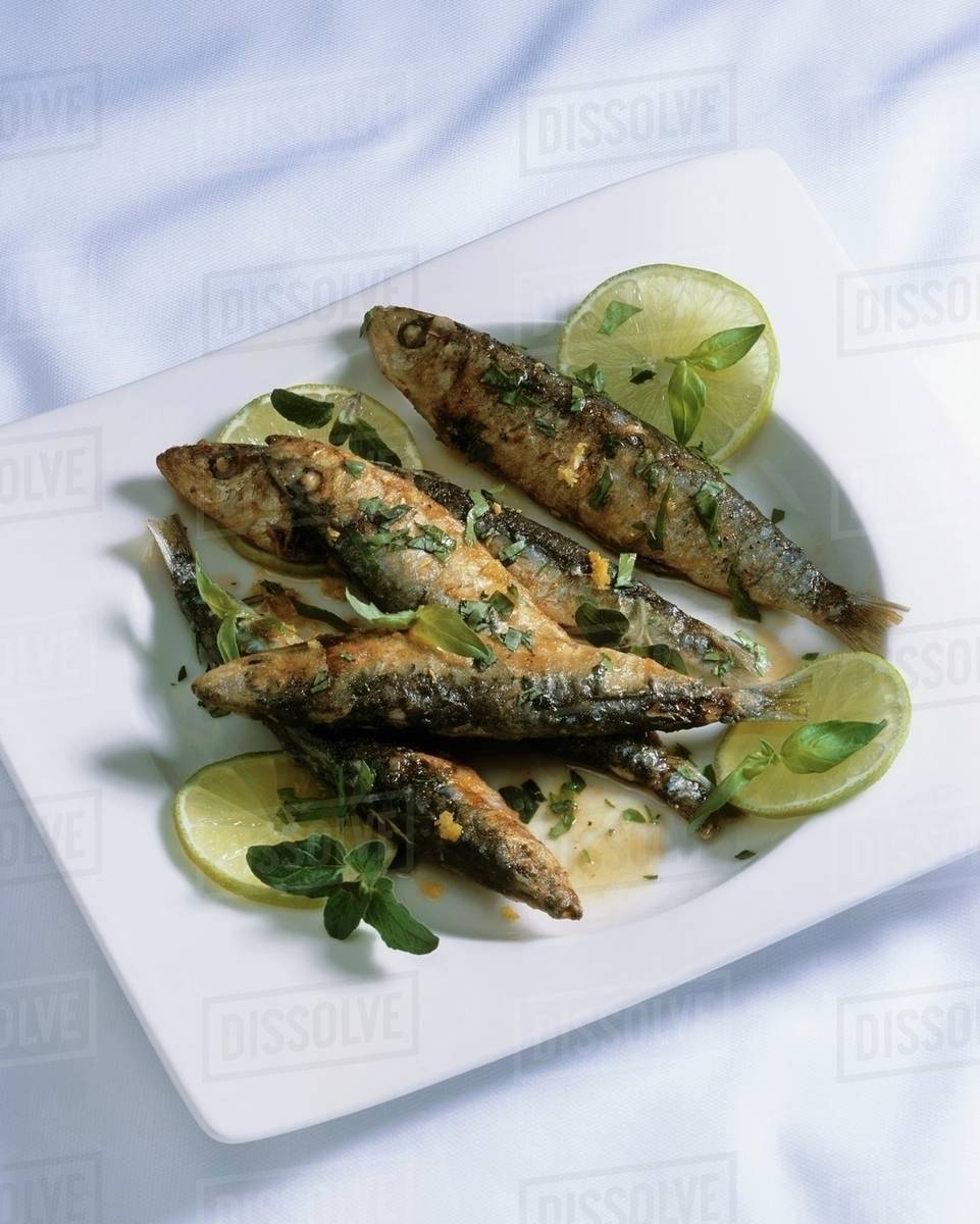 Sardines with herbs Stock Photo Dissolve