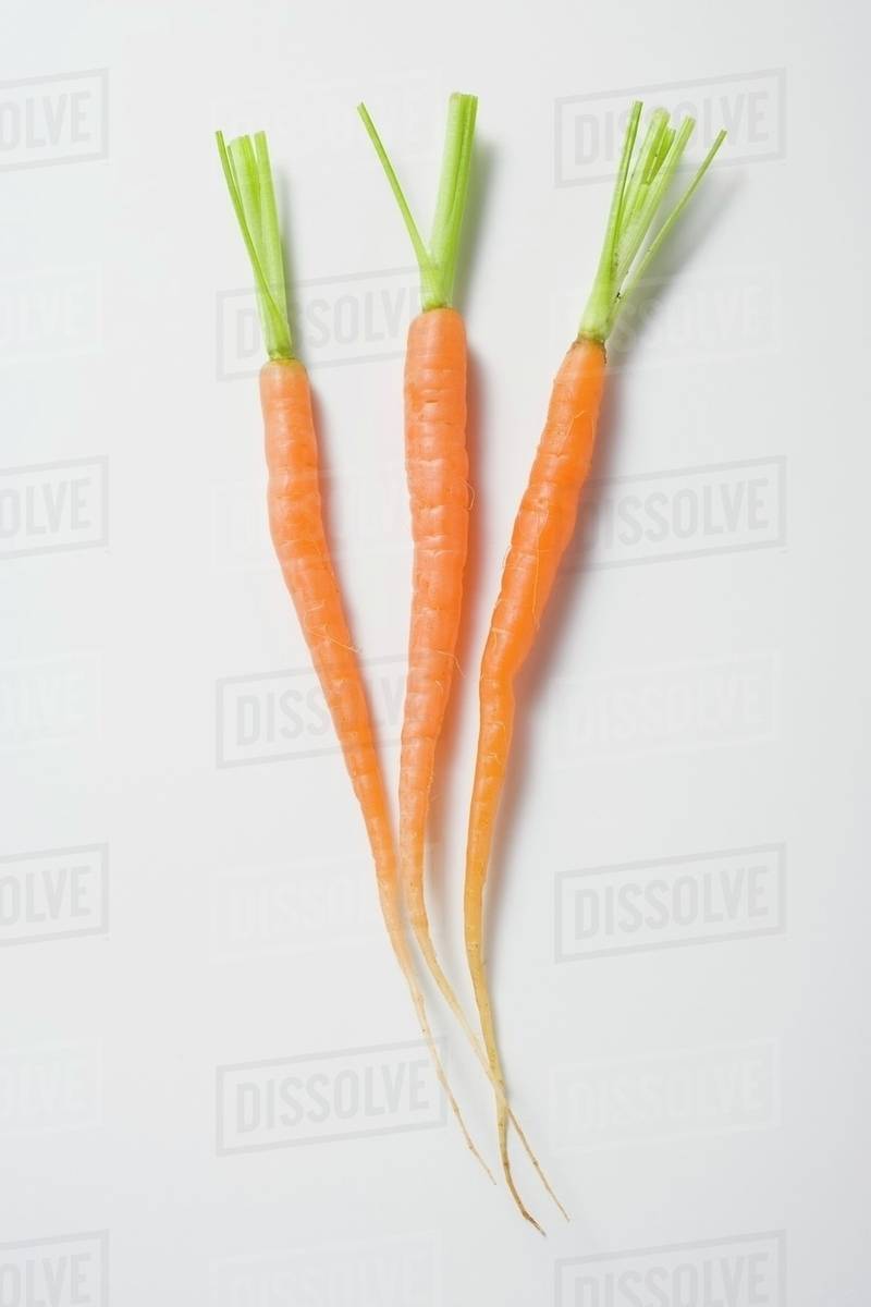 Young Carrots