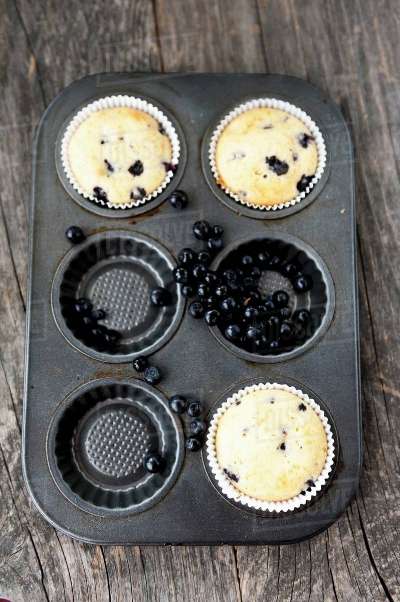 Blueberry muffins in a muffin tin Stock Photo Dissolve