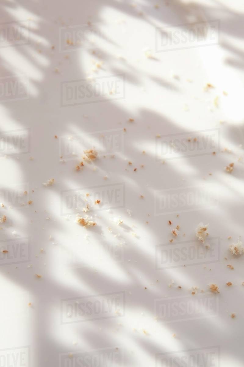 Toast crumbs Stock Photo Dissolve