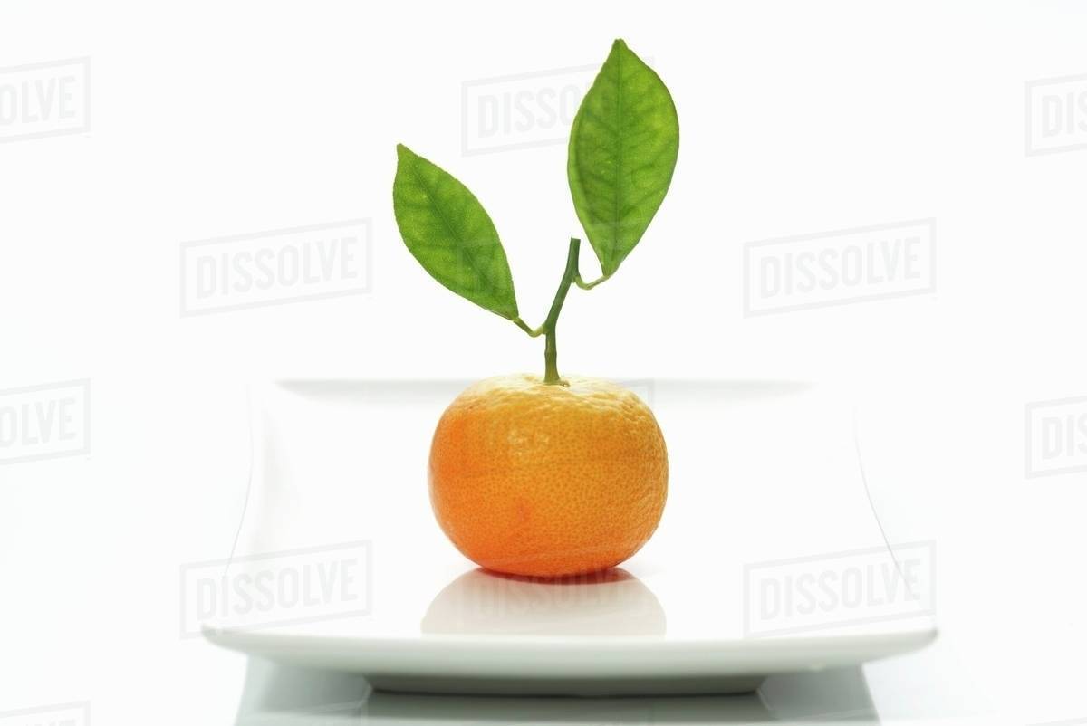 A clementine with leaves Stock Photo Dissolve