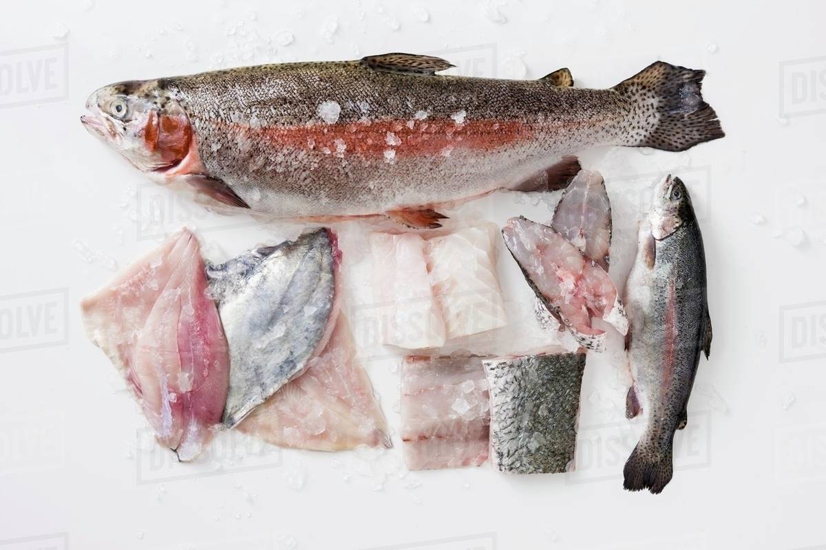 Various fish for poaching Stock Photo Dissolve