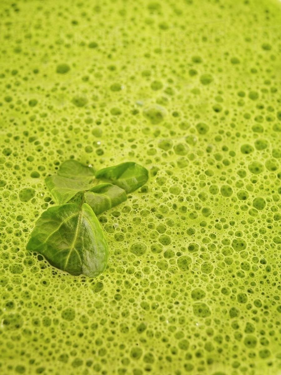 Foamy basil soup Stock Photo Dissolve