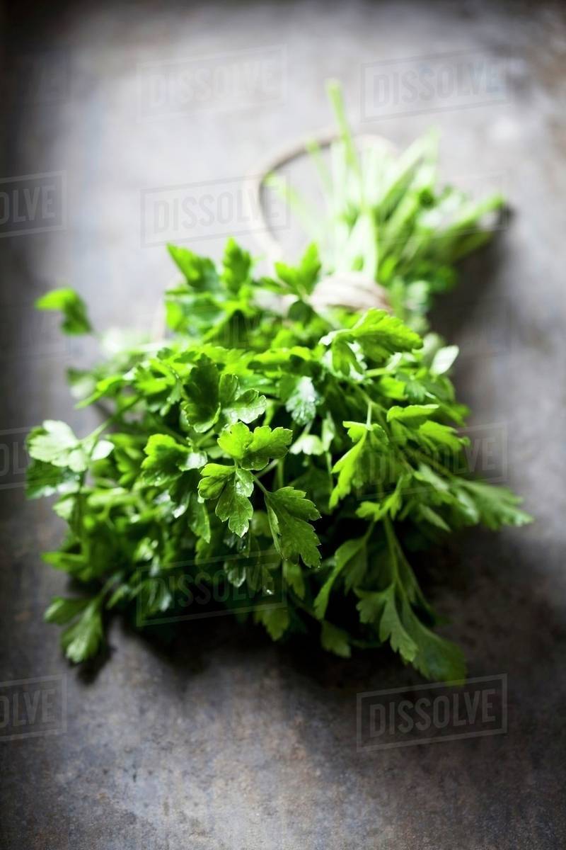 A bunch of fresh parsley Stock Photo Dissolve