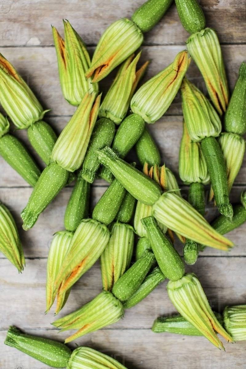 Baby courgettes with flowers Stock Photo Dissolve