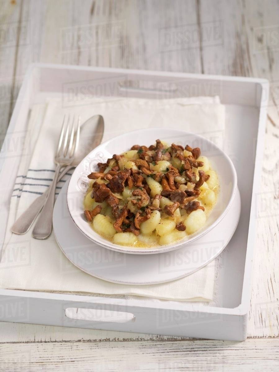 Gnocchi with chanterelle mushroom sauce Stock Photo Dissolve
