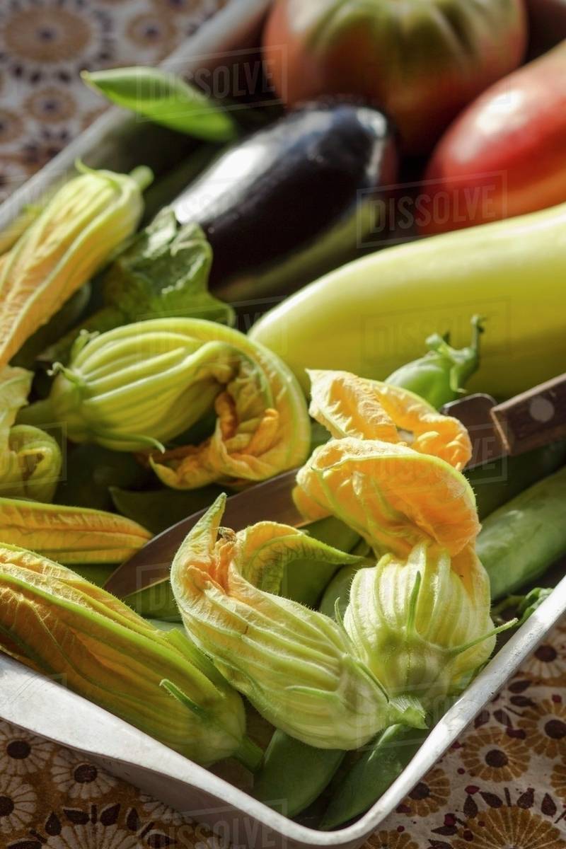 Fresh summer vegetables and courgette flowers Stock Photo Dissolve