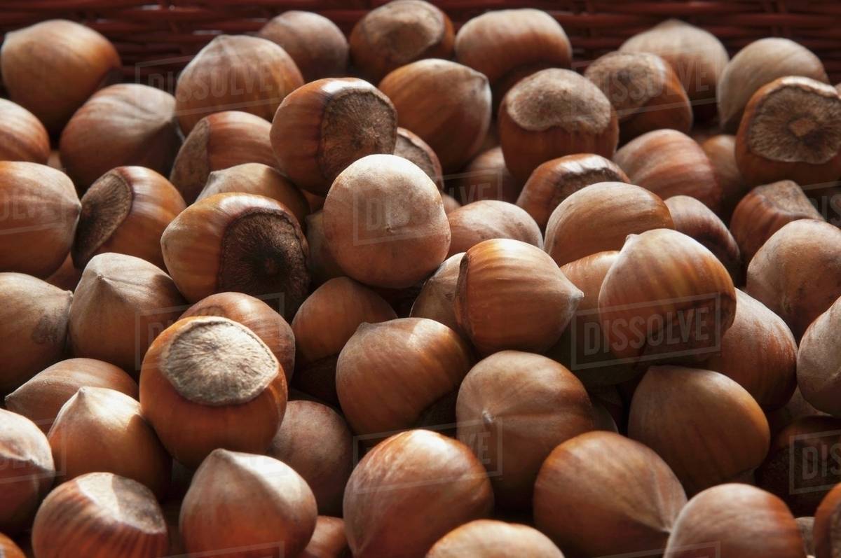 A basket of hazelnuts Stock Photo Dissolve