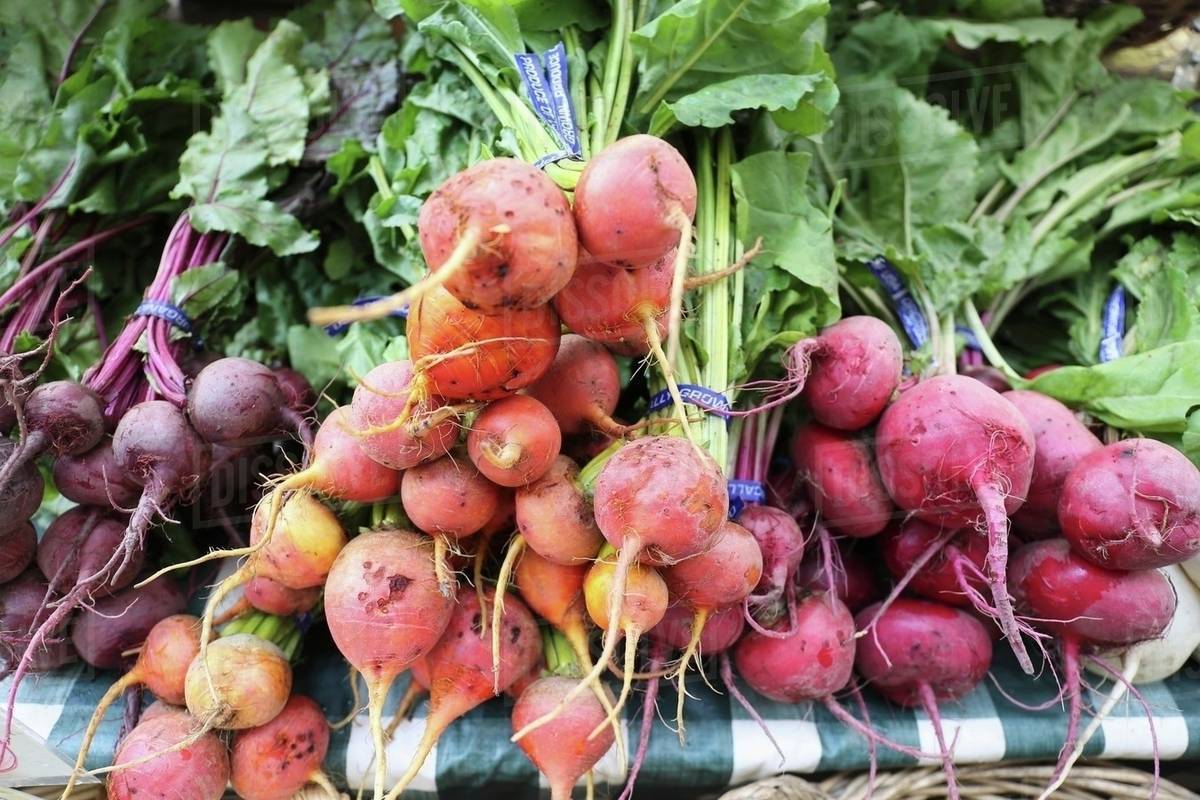 Various types of beetroot in bundles at a market - Stock Photo - Dissolve