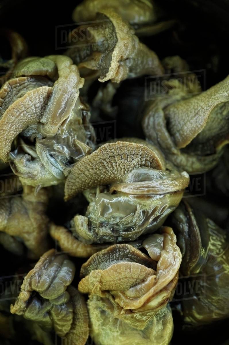Escargot; Snails without Shells Stock Photo Dissolve