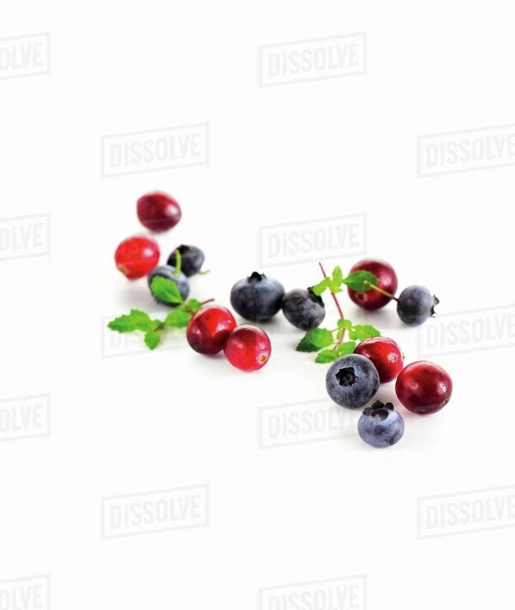 Cranberries and blueberries Stock Photo Dissolve
