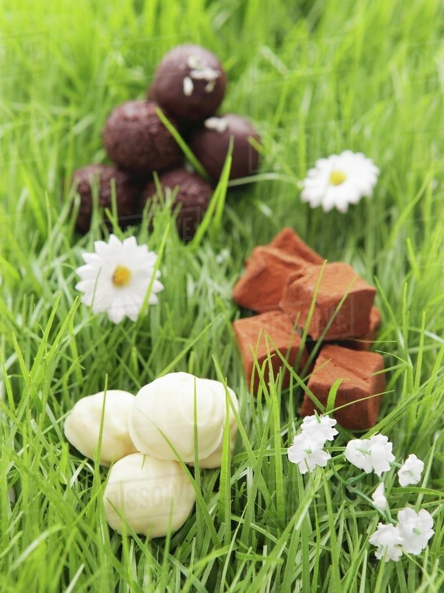 Assorted chocolates in artificial grass Stock Photo Dissolve