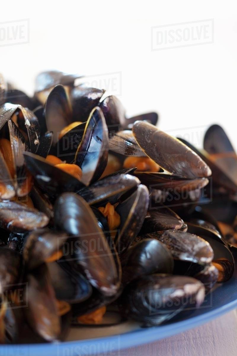 Cooked mussels Stock Photo Dissolve