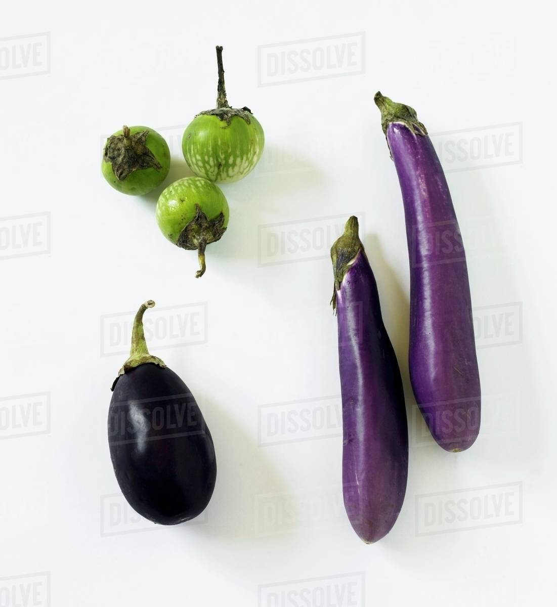 Three Assorted Eggplants; Thai Eggplant, Chinese Eggplant, Italian