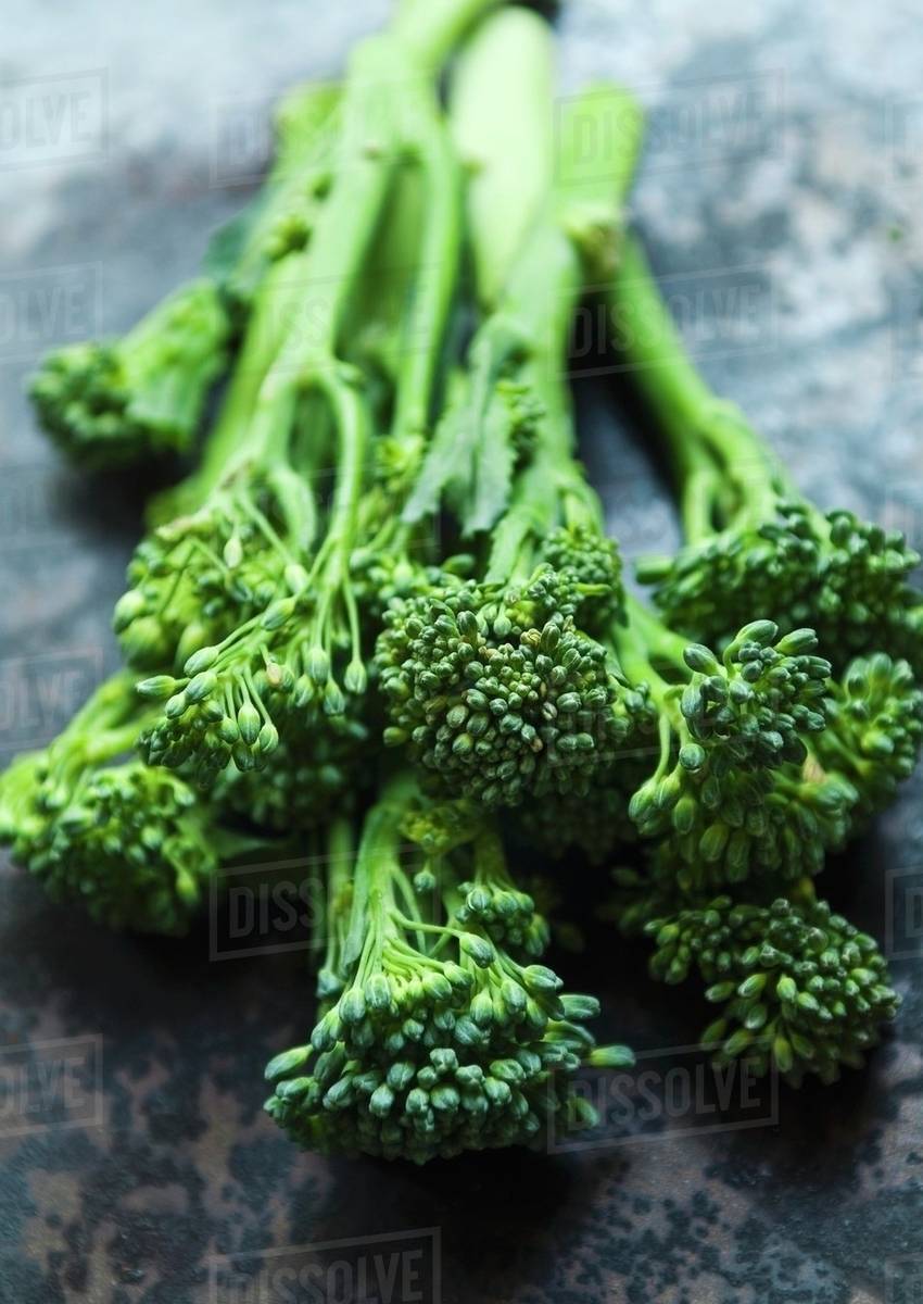 Young broccoli Stock Photo Dissolve