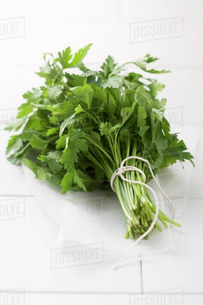 A bunch of parsley Stock Photo Dissolve