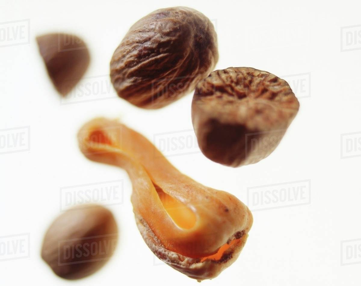 Nutmeg and nutmeg flower Stock Photo Dissolve