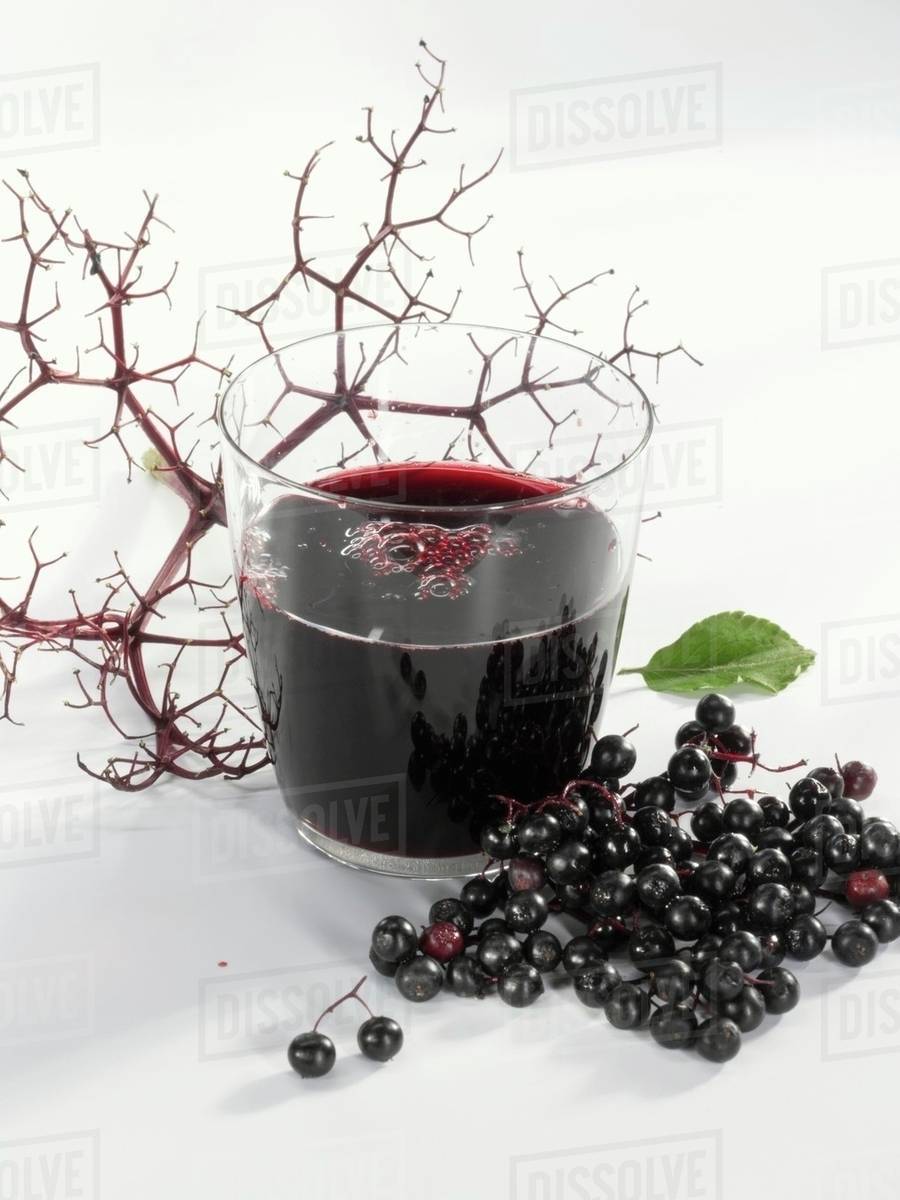 A glass of elderberry & apple juice & fresh elderberries Stock Photo