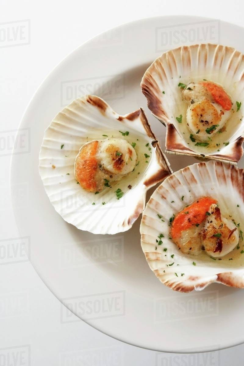 Ovenbaked scallops Stock Photo Dissolve