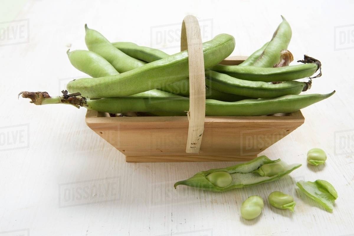 Broad beans in a wooden basket Stock Photo Dissolve