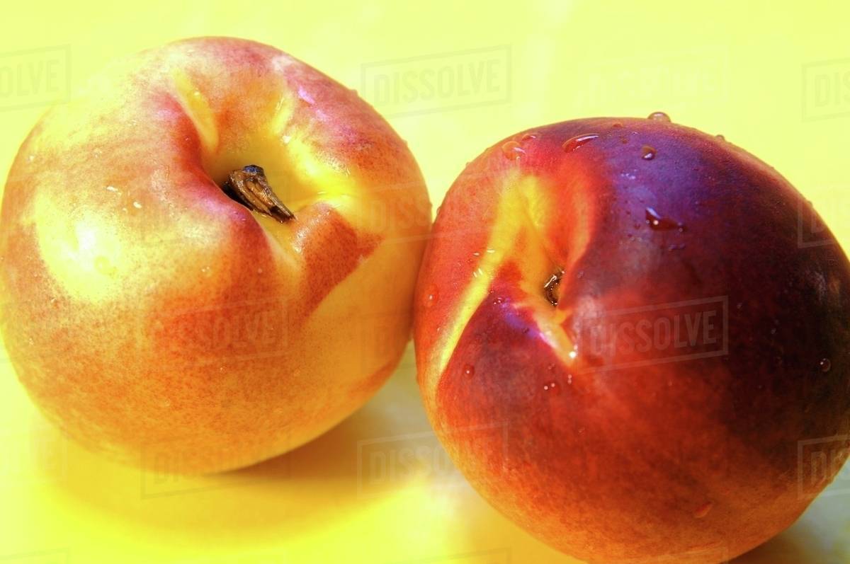 Two nectarines Stock Photo Dissolve