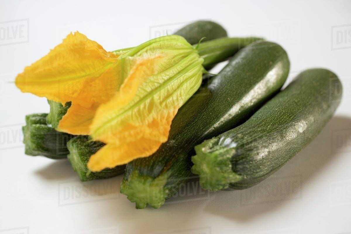 Courgettes with courgette flower Stock Photo Dissolve