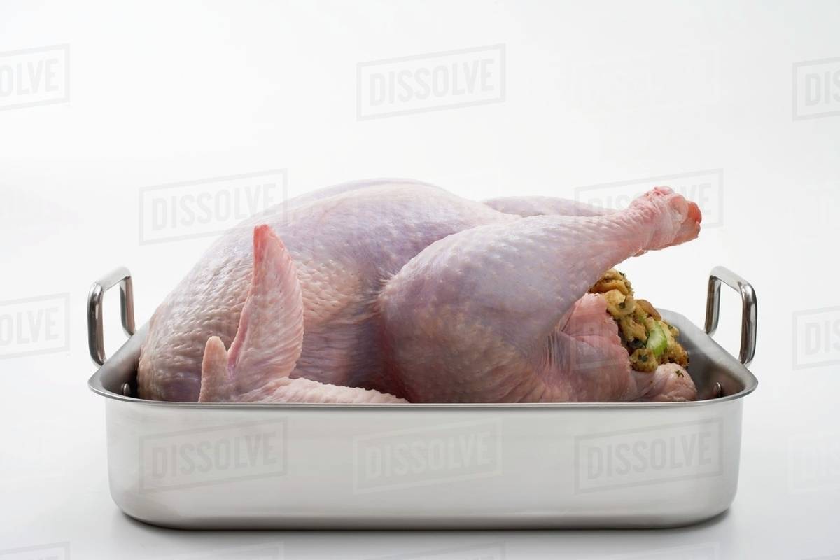 Raw stuffed turkey in roasting tin Stock Photo Dissolve